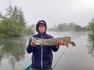 Northern Pike