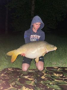 Mirror Carp