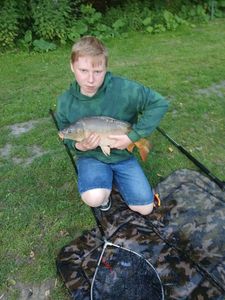 Common Carp