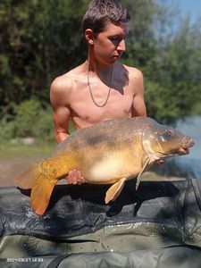 Mirror Carp