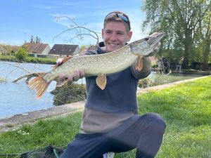Northern Pike
