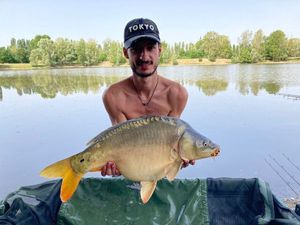 Mirror Carp