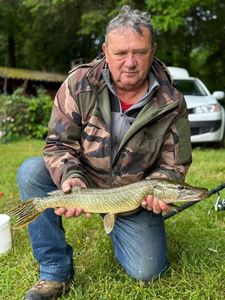 Northern Pike