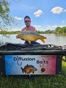 Mirror Carp