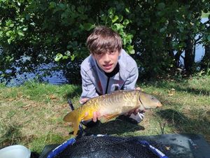 Mirror Carp
