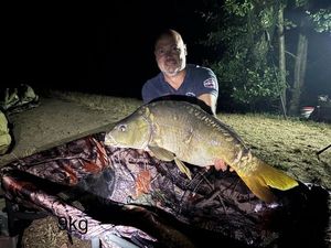 Mirror Carp