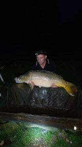 Mirror Carp