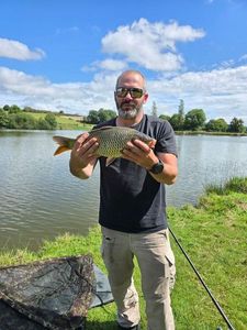 Common Carp