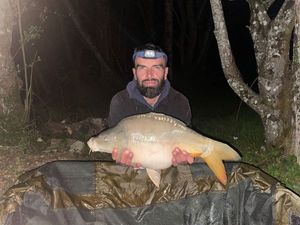 Mirror Carp