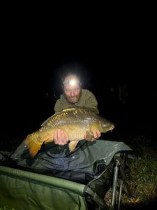Mirror Carp
