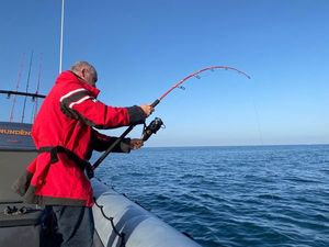 Bluefin Tuna