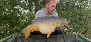 Mirror Carp