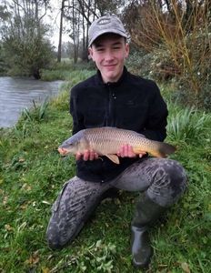 Common Carp