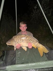 Mirror Carp