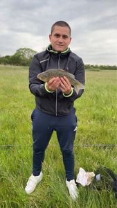 Crucian Carp