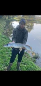 Northern Pike
