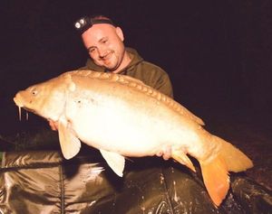 Mirror Carp