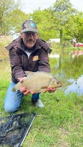 Common Bream
