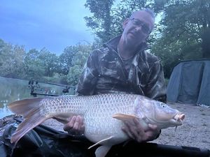 Common Carp
