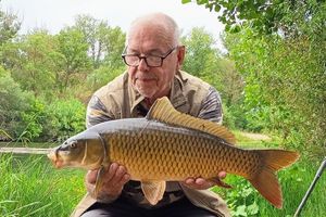 Common Carp