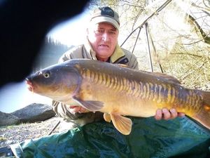 Mirror Carp