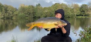 Mirror Carp