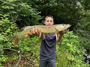 Northern Pike