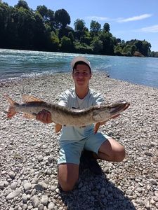 Northern Pike