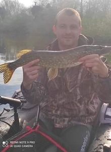 Northern Pike