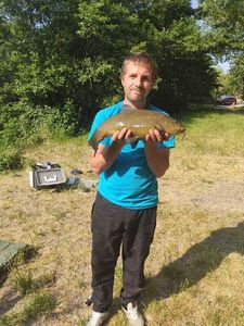 Tench