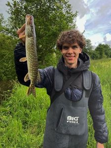 Northern Pike