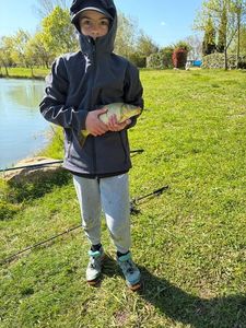 Common Carp
