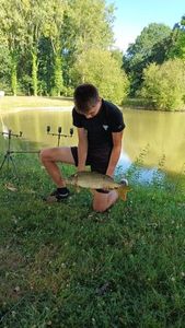 Silver Carp
