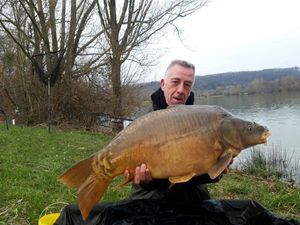Mirror Carp