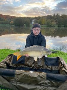 Mirror Carp
