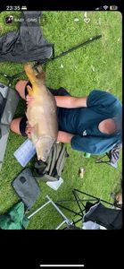 Mirror Carp