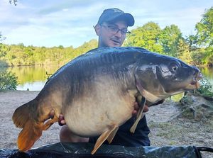 Mirror Carp