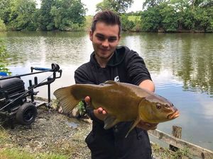 Tench