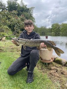 Northern Pike