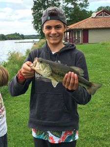 Largemouth Bass