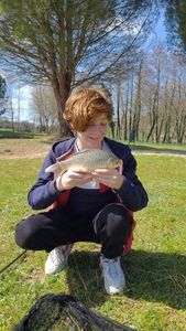 Crucian Carp