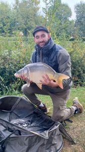 Mirror Carp