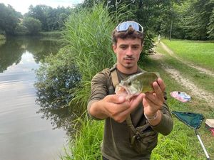Largemouth Bass
