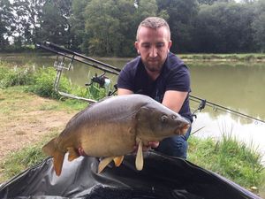 Mirror Carp