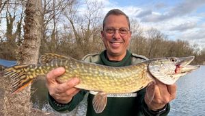 Chain Pickerel