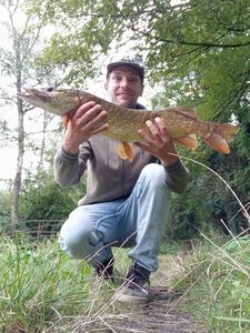 Northern Pike