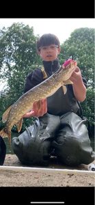 Northern Pike