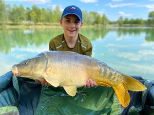Mirror Carp