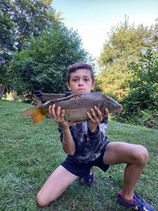 Mirror Carp