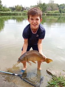 Mirror Carp
